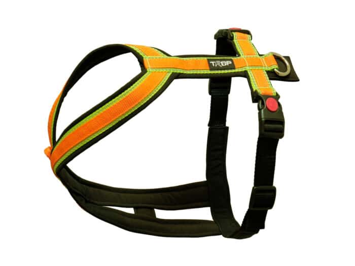 Trop BASE harness - orange