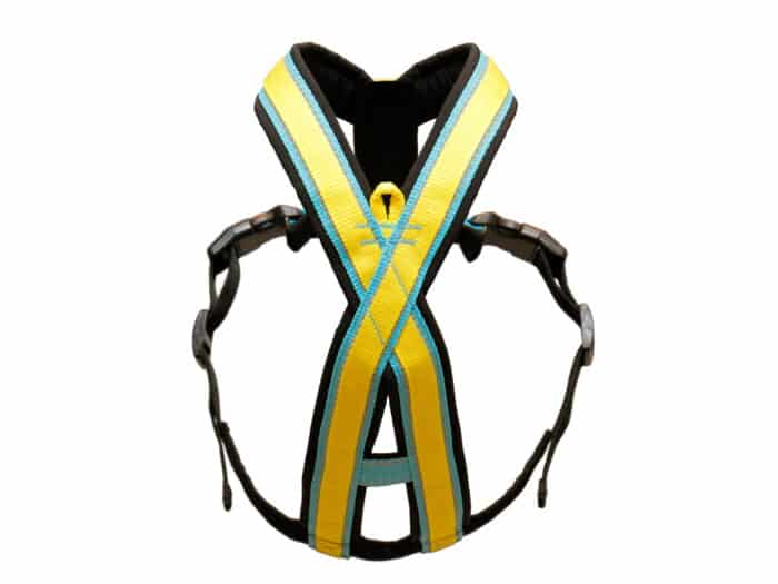 Trop BASE harness - bottom