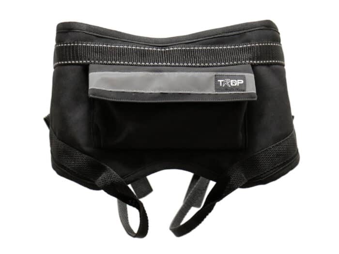 Trop FUSE running belt - back pocket